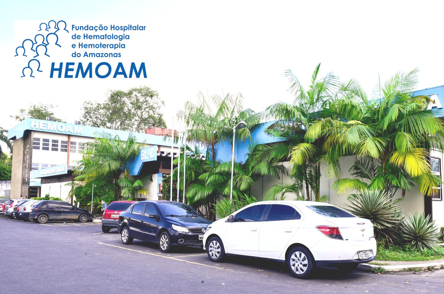 hemoam